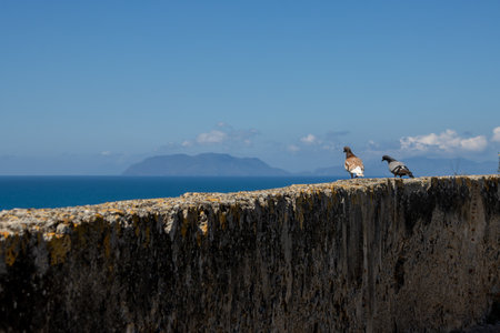Details of the architecture of well preserved historical building of a Milazzo Castle (Castello di Milazzo), built on a hill with view on the Tyrhennian (Mediterranean) sea. Milazzo, Sicily, Italy.の写真素材