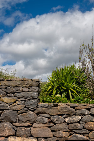 Stone wall between terrace and meadow. Fresh greenery in the spring. Blue sky with white clouds. Ponta do Pargo, Madeira, Portugal.の写真素材