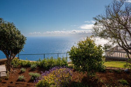 View from a cliff on Atlantic ocean. Fresh plants in the park in the spring season. Blue sky with light white clouds. Ponta do Pargo, Madeira, Portugal.の写真素材