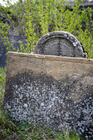 Old weathered stone tombstone at an abandoned small jewish cemetery, surrounded by spring fresh nature. Trstin, Slovak republic.の写真素材