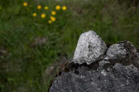 Typical tradition of bringing the stones on the graves of relatives and friends. Detail of a stone at an abandoned historical jewish cemetery. Trstin, Slovak republic.の写真素材
