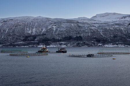 Calm water of the Norwegian sea with circles of the fish farm and two boats. Mountains with snow in...