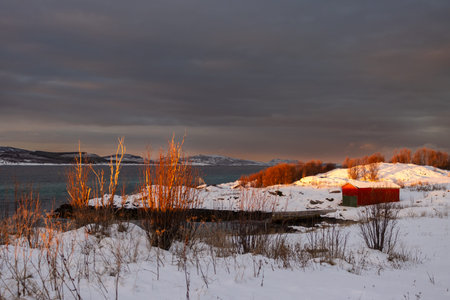 Coast with snow in the arctic late autumn. Red wooden house. Trees enlighted by the sunset sunlight into orange-red color. Norwegian sea, mountains on the horizon and colorful sky. Tjeldevika, Norway.の写真素材