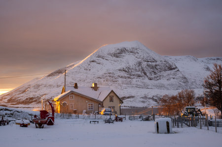 House with a garden in the light of arctic sunset. Majestic mountain in the background. Colorful...
