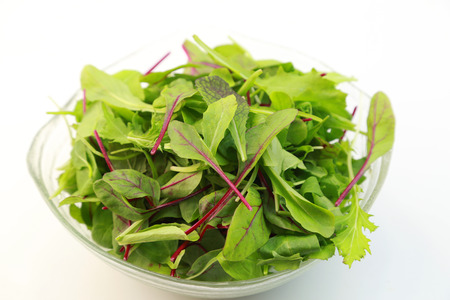 Saladの写真素材