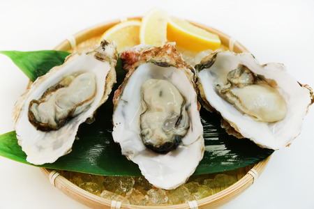 oysterの写真素材