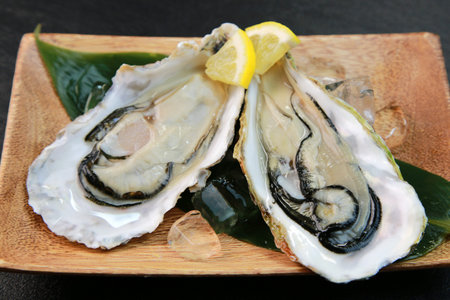 Oyster