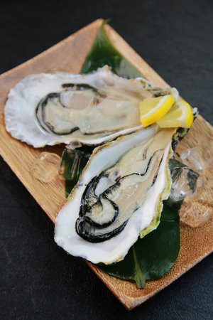 Oyster
