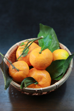 Orangeの写真素材