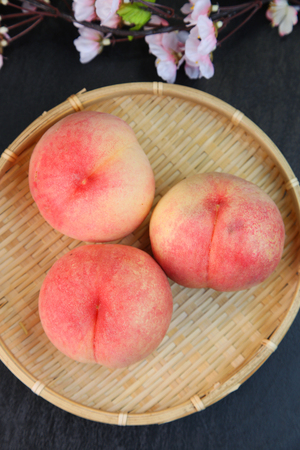 Peachの写真素材