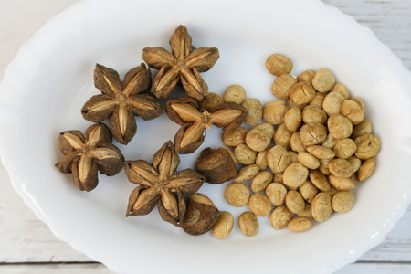 Sacha Inchi Nutの写真素材