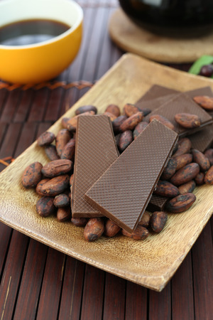 Chocolate and cocoa beanの写真素材