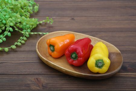 Green pepper of the various colorの写真素材
