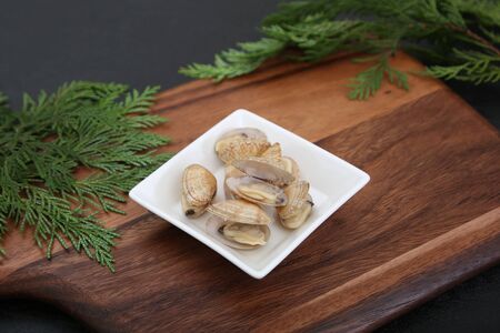 It is the edible shellfish called the short-necked clam in Japan.の写真素材