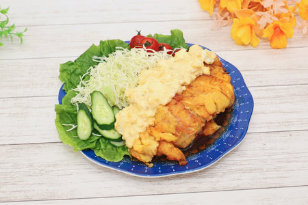 Crispy fried chicken breast with mayonnaise sauce and saladの写真素材