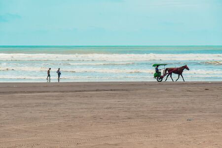 he Beauty of Parangtritis Beach With Horse Carts That Characteristicの写真素材