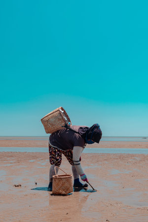 When the sea recedes, the coastal community's activity is hunting sea urchins & shellfish on the...