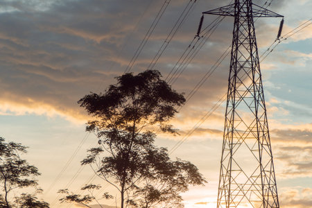 View of cloudy golden sky and Overhead power lines in the Morning in a quiet countryside and lots of treesの写真素材