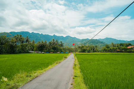 The road splits the amazing rice fields against the hillside background in the countryside which is very calm & peacefulの写真素材