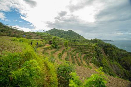 The beauty of the Green Hills which is dominated by rice fields and plantations which are located...
