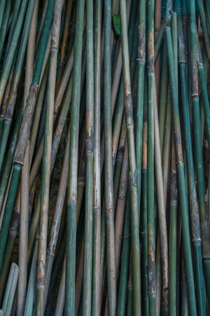 Piles of young and small pieces of bamboo that will be processed into bamboo handicraft products in the cottage industry becomes an attractive backgroundの写真素材