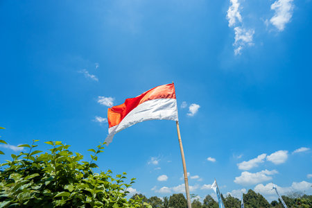 Indonesian red and white flag fluttering in a garden full of plants and trees on a sunny day with blue sky and clouds surrounding itの写真素材