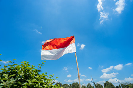 Indonesian red and white flag fluttering in a garden full of plants and trees on a sunny day with blue sky and clouds surrounding itの写真素材