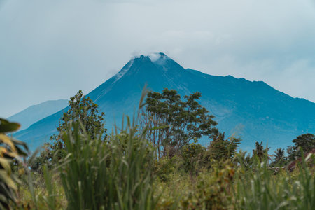 The beauty of Mount Merapi from a distance of 13 miles with trees in the foreground. The panoramic...