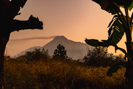 Panorama of Mount Merapi with a reddish gold sky at sunrise. mountain landscape from a distance at sunrise with rice fields and trees in the foregroundの写真素材