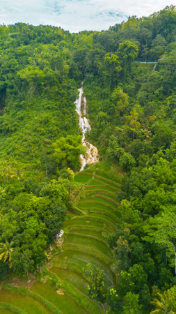 A beautiful waterfall surrounded by high cliffs with shady trees & also a terraced rice field area in front. Aerial photo of awaterfall located between rice fields and lush cliffsの写真素材
