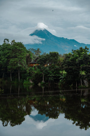 Aerial view of the mountain in the morning with a panorama of dense forest in front. Aerial...