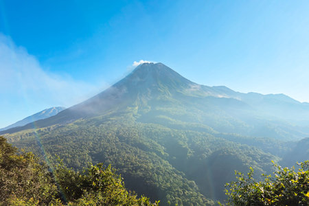 A view of Mount Merapi in the morning with a lush forest in the foreground. The panoramic beauty of...