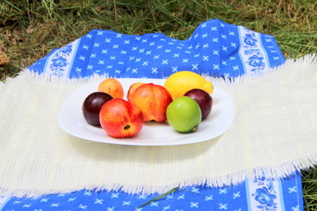 still life of fruit on the forest gladeの写真素材