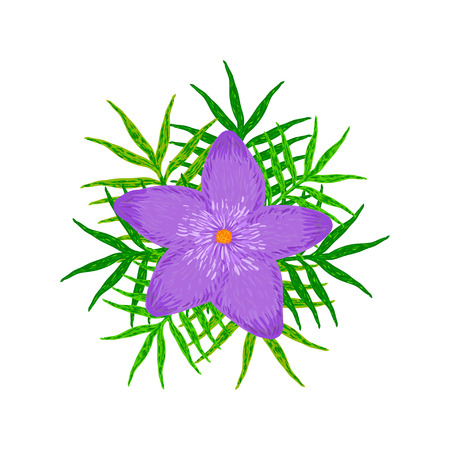 The creative  purple flower with green leaves on the white backgroundのイラスト素材