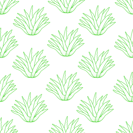 Seamless pattern from green aloe on the white background. Vector illustrationのイラスト素材