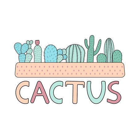 Colorful cactuses on the white background.Vector illustration.のイラスト素材