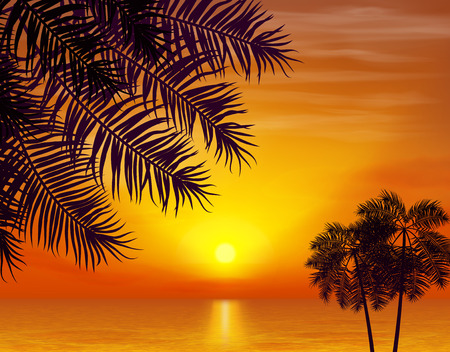 Summer night. Palm trees on the background of sunset. Vector illustration. のイラスト素材