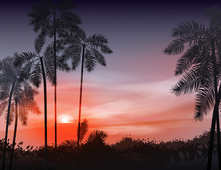 Summer night. Palm trees on the background of sunset. Vector illustration. EPS 10のイラスト素材