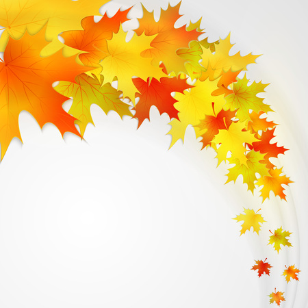 Autumn background with leaves. Vector nature background. EPS 10のイラスト素材