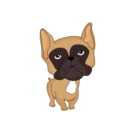 french bulldogのイラスト素材