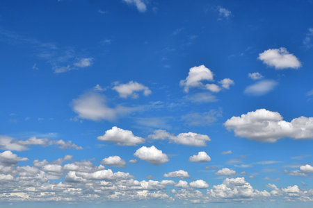 Summer sky and sheep sky