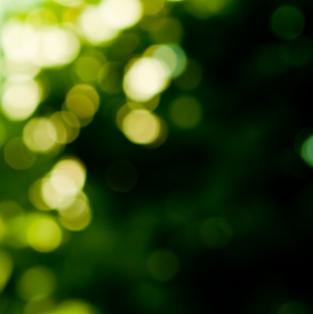 background in green colors, the blurred bokeh effectの写真素材