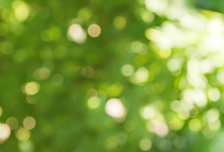 background in spring green colors, bokeh diffuse effect background in spring green colors, bokeh diffuse effect
