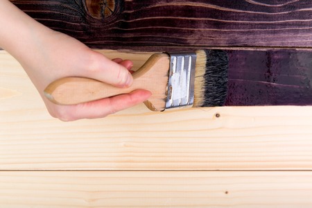 Tinting wood with a brush in the color of ebony. Top view, close-up.の写真素材
