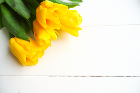 Springt time. Yellow tulip bouquet on the white wooden background.の写真素材