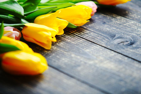 tulips in front of dark wooden background. Copyspace for your textの写真素材