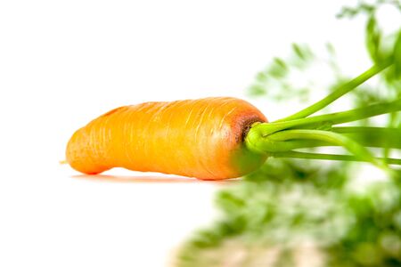 Fresh carrots with green tops on a white background. Harvest fresh vegetables. Product of farming.の写真素材