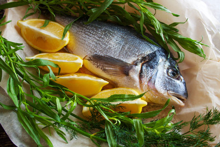 Raw dorado with lemon and aromatic herbs - rosemary and dill, sea salt and olive oil prepared for...
