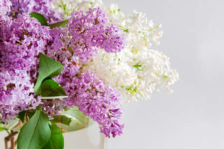 Lush branches of white and purple lilacs arranged in a bouquetの写真素材