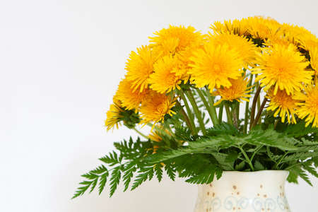 Lush bouquet of fluffy yellow dandelions in a vase of delicate pastel colorsの写真素材